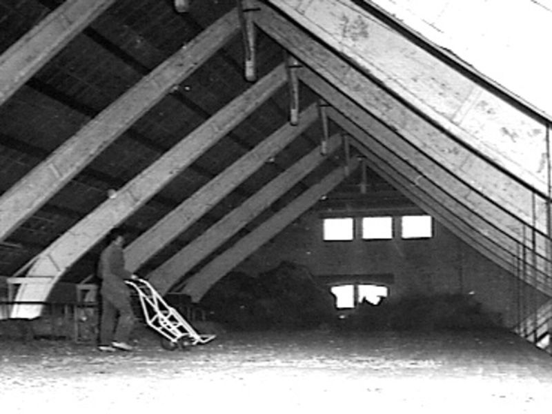 Maasdam Barns
