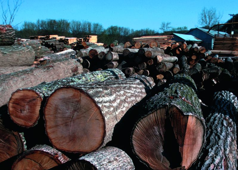The Sawmill Museum