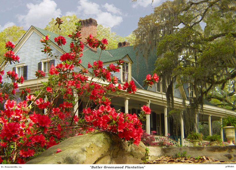 Greenwood Plantation (Louisiana)