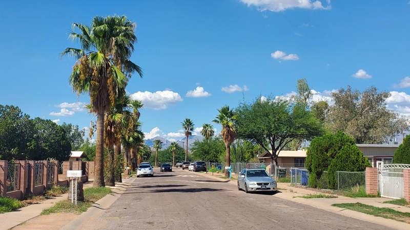 Arizona State Museum