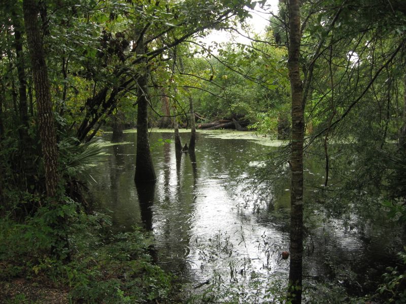 Jean Lafitte National Historical Park and Preserve