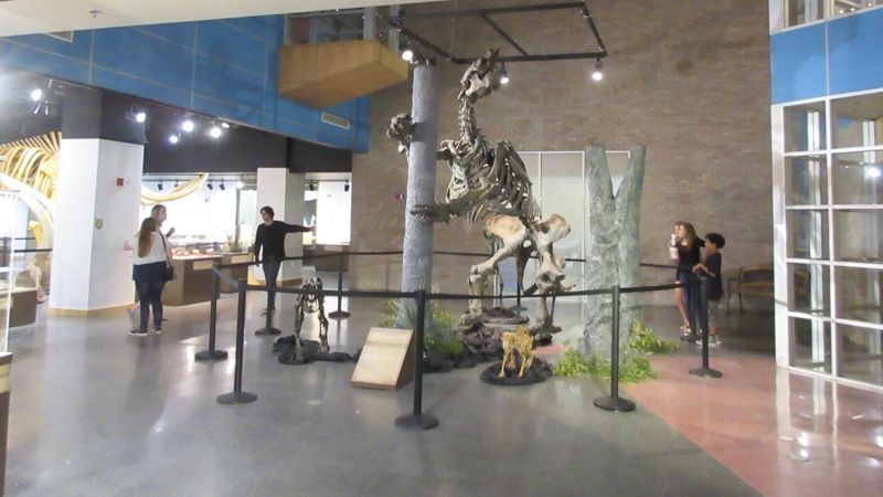 Lafayette Science Museum