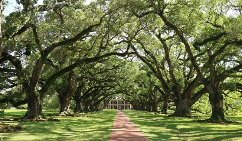 Oak Alley Plantation