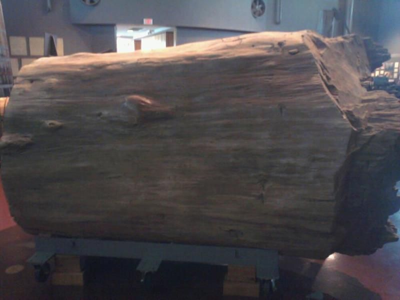 Wedell-Williams Aviation & Cypress Sawmill Museum