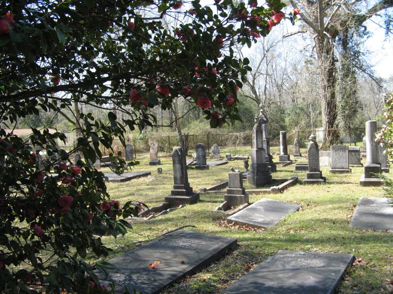 Wilkinson County Museum