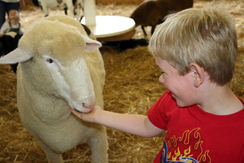 Fryeburg Fair Farm Museum