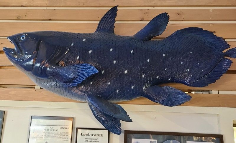 International Cryptozoology Museum
