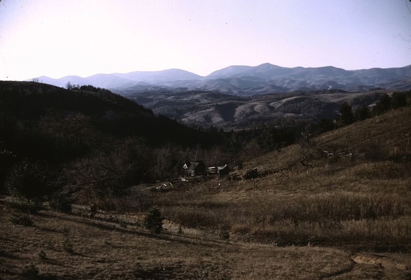Skyline Farm