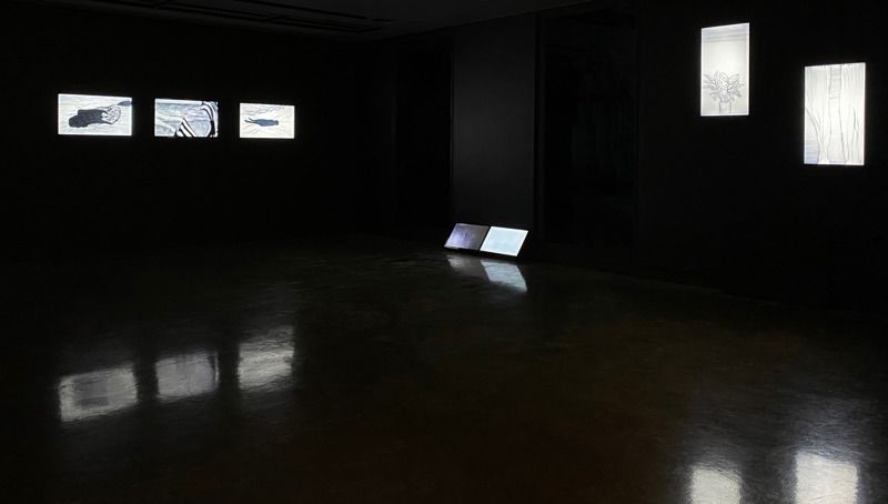 Museum of Contemporary Art, Tucson