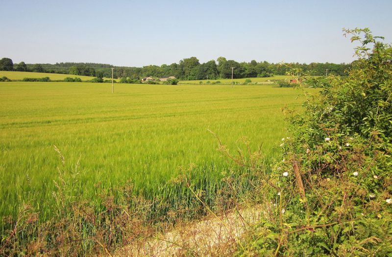 Wilton Farm & Home Museum