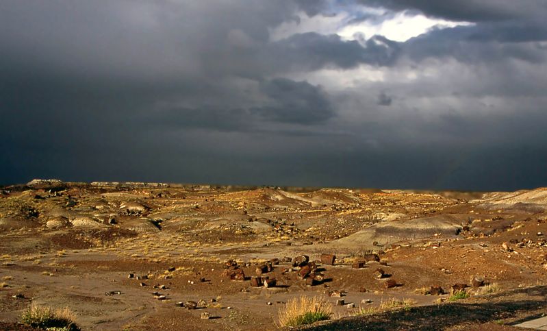 Petrified Forest National Park