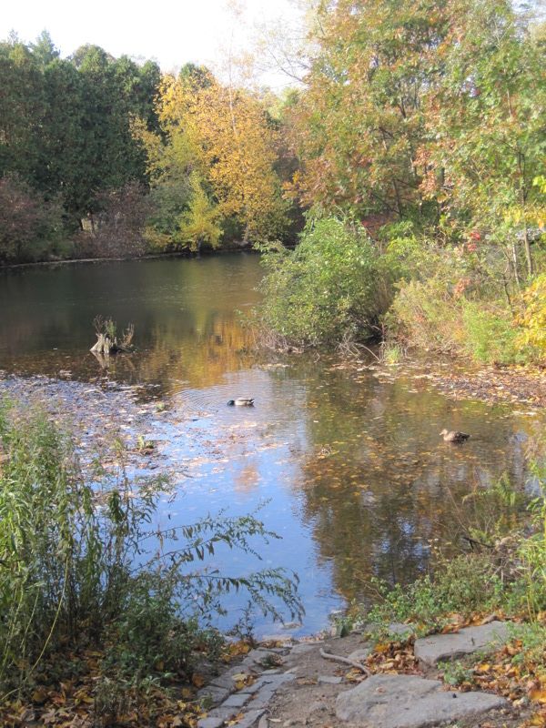 Blue Hills Trailside Museum