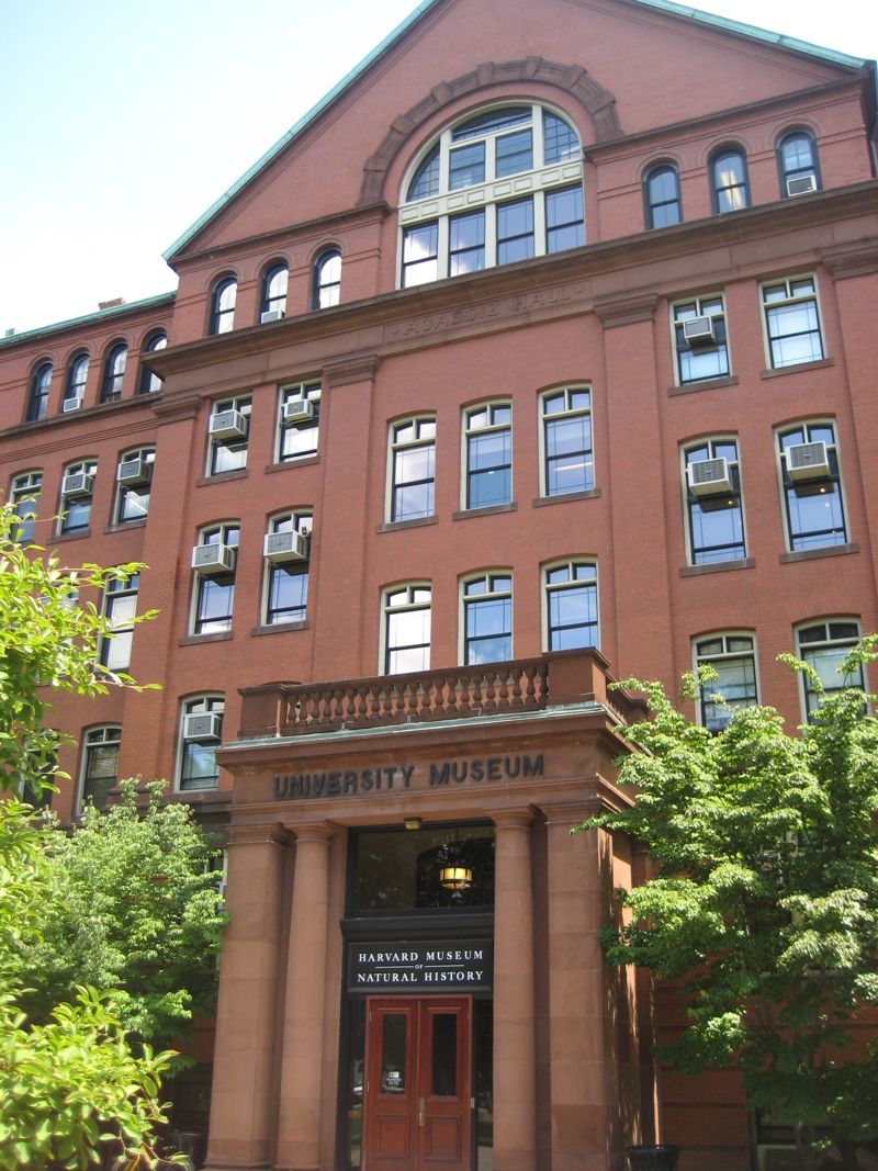 Harvard Museum of Natural History