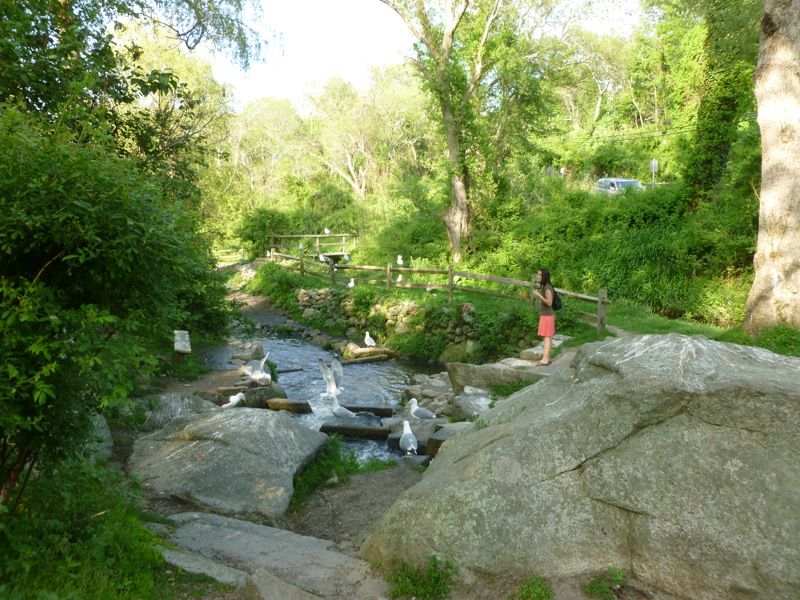 Stony Brook Grist Mill and Museum