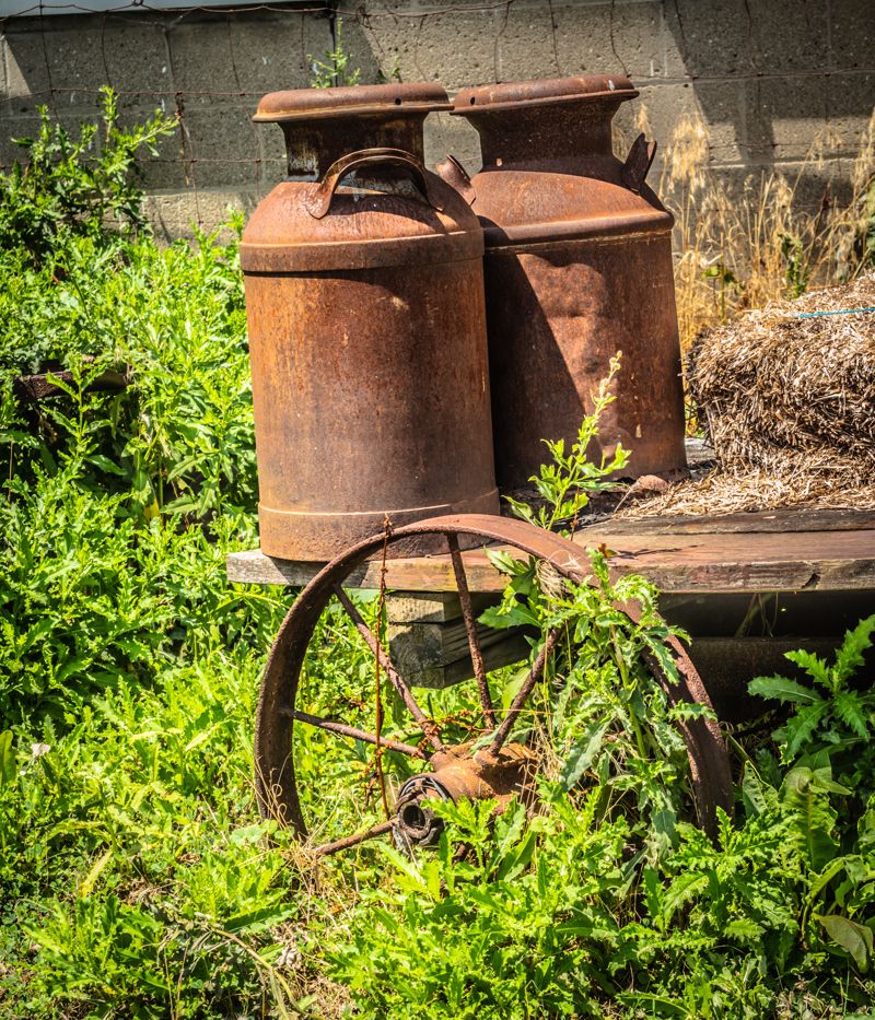 Greenmead Historical Park