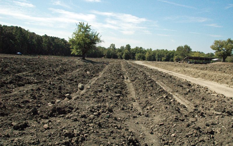 Crater of Diamonds State Park