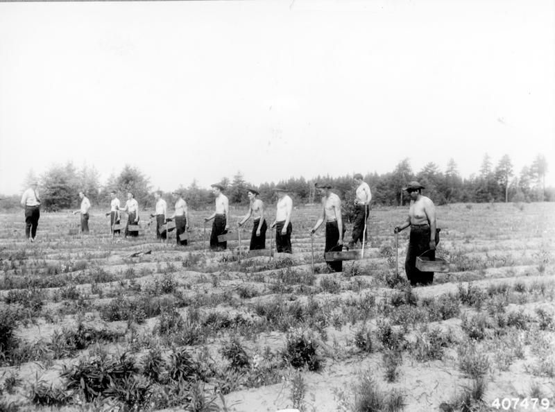 Pine Forest Historical Museum