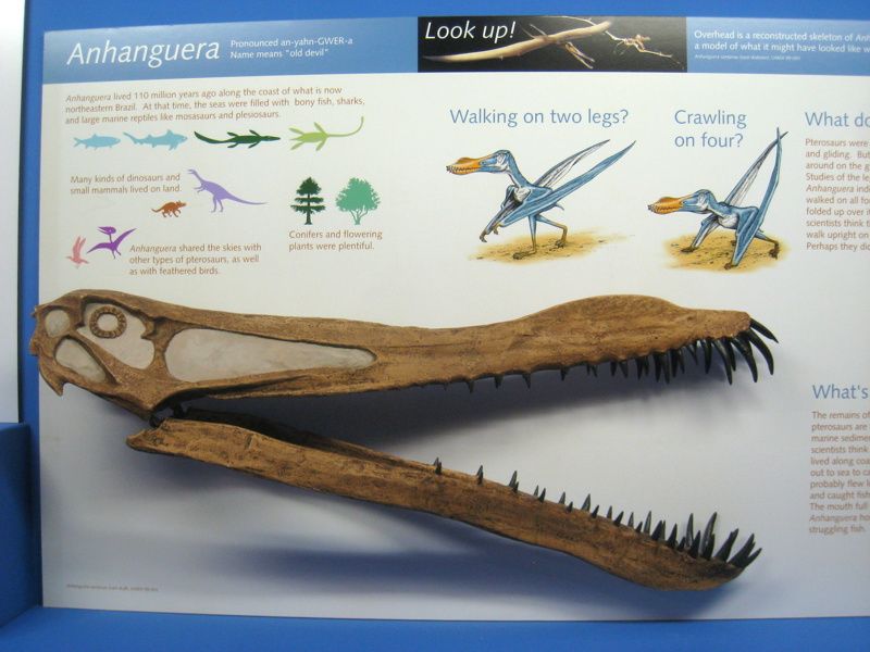University of Michigan Museum of Natural History