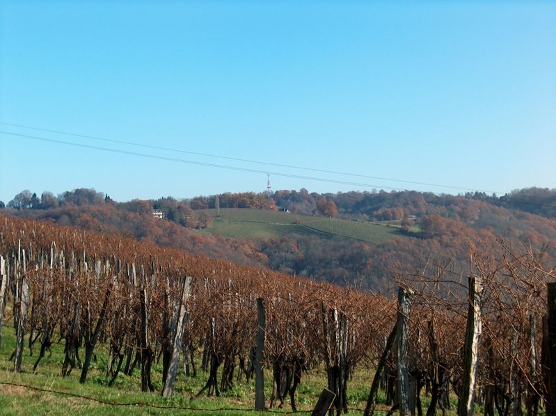 Faust Village