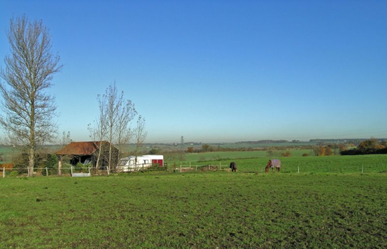 Muster Field Farm Museum