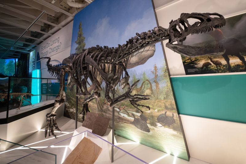 Cleveland Museum of Natural History