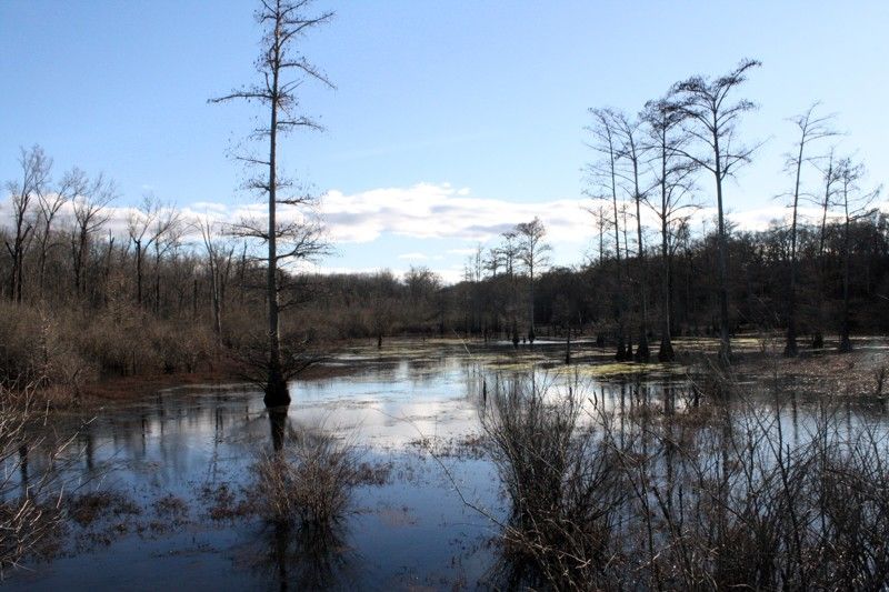 White River National Wildlife Refuge