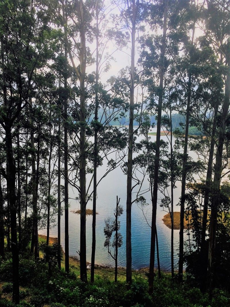 Highlands Nature Sanctuary