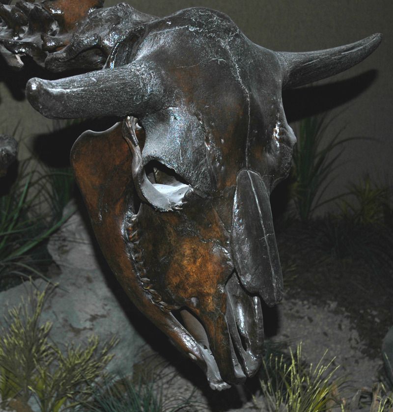 Folsom History Museum