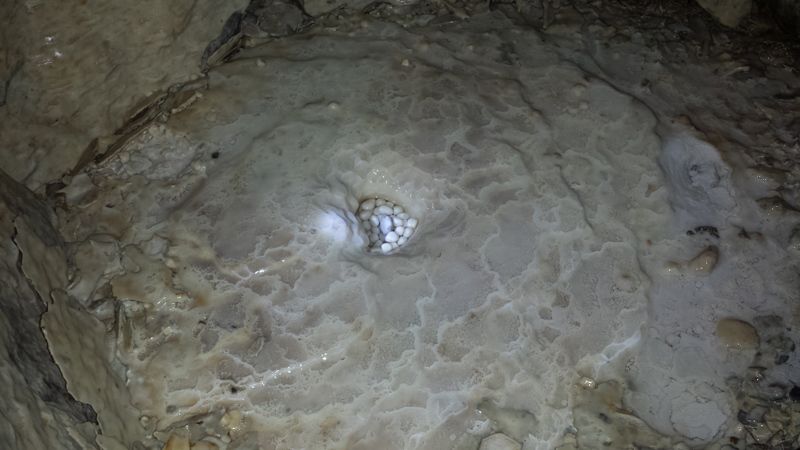 Zane Shawnee Caverns