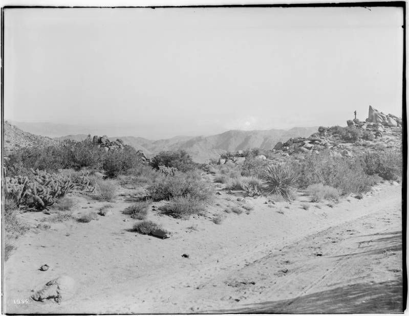 Imperial Valley Desert Museum