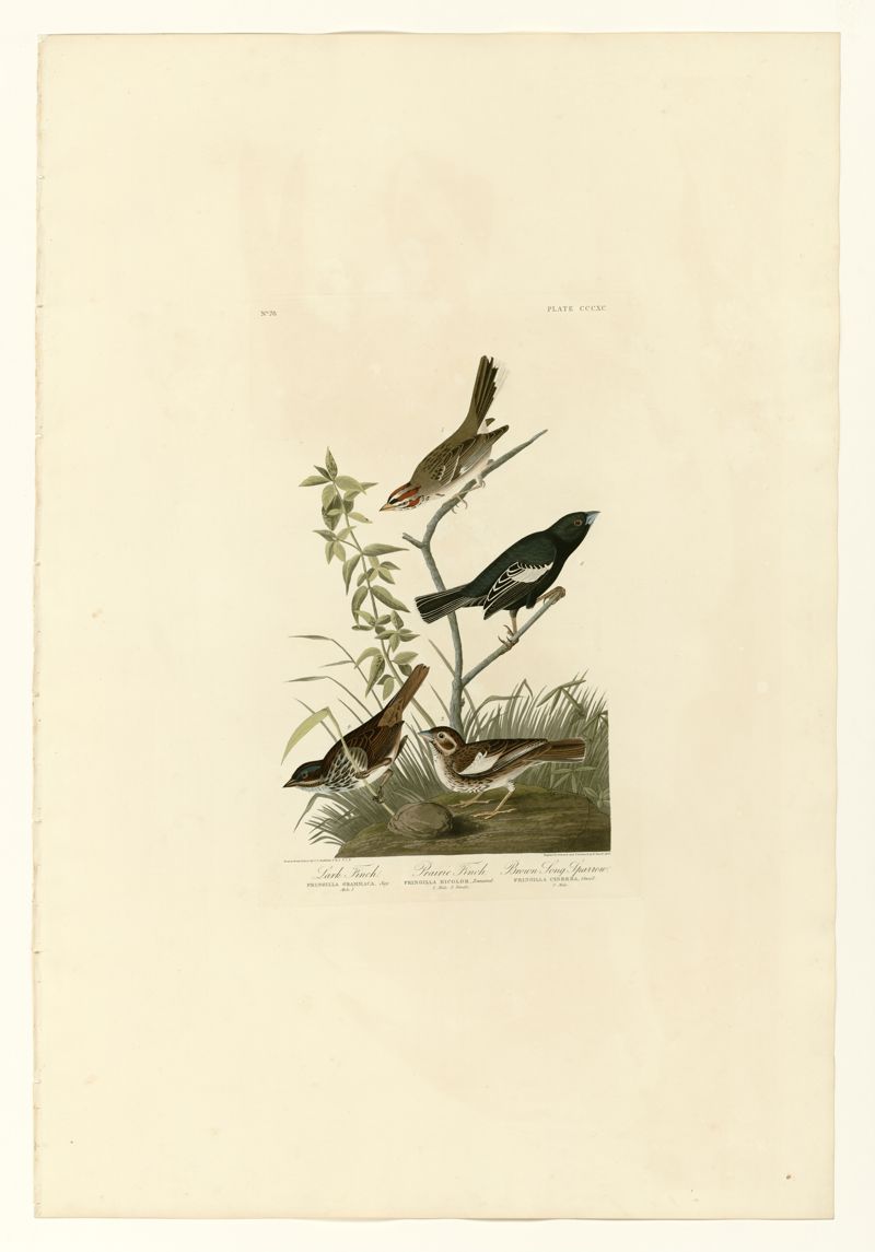 Prairie Song