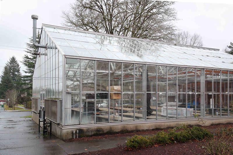 Pacific University Museum