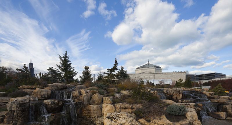 Shedd Museum