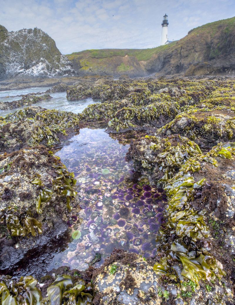 Yaquina Head Interpretive Center