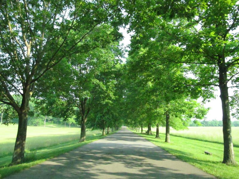 Friendship Hill National Historic Site