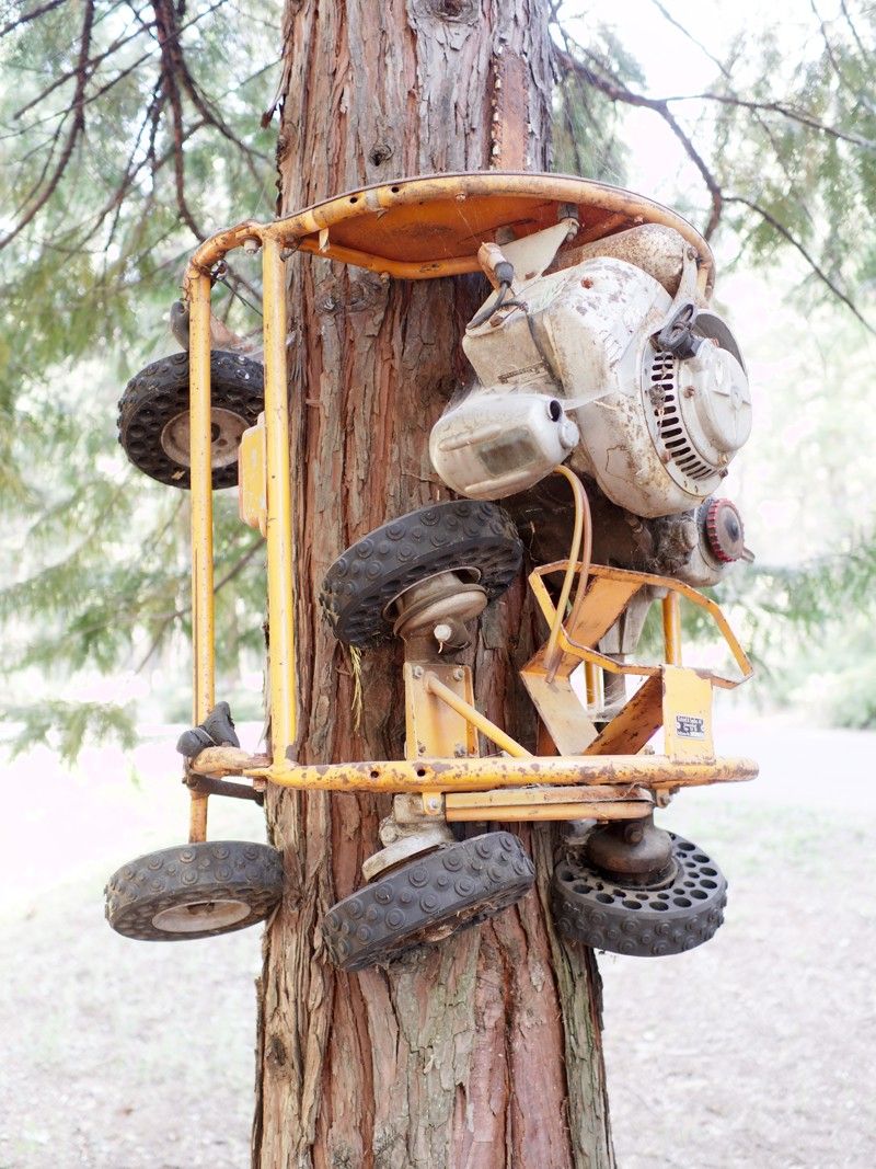 Sierra Nevada Logging Museum
