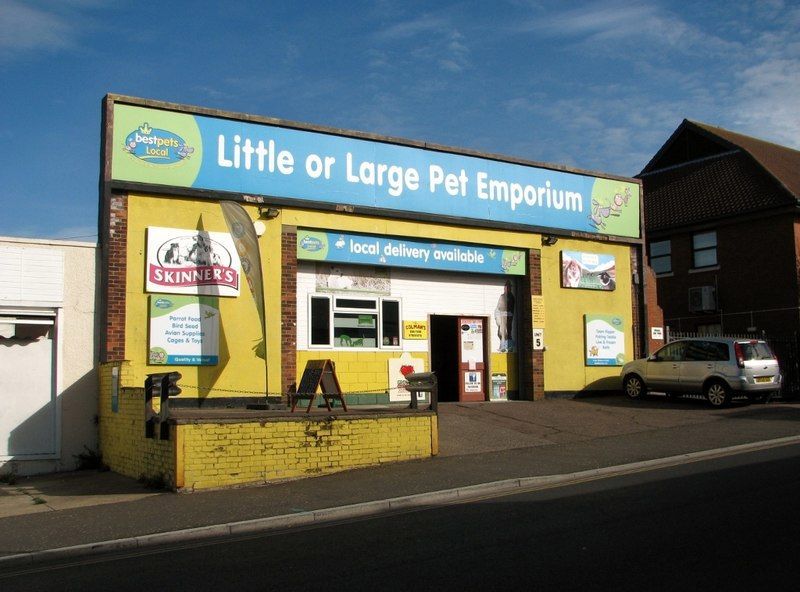 Little Museum