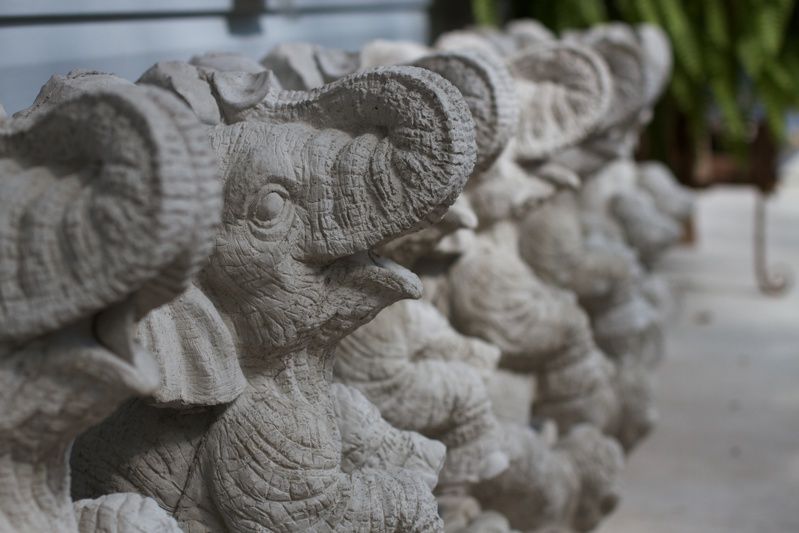 Mister Ed's Elephant Museum