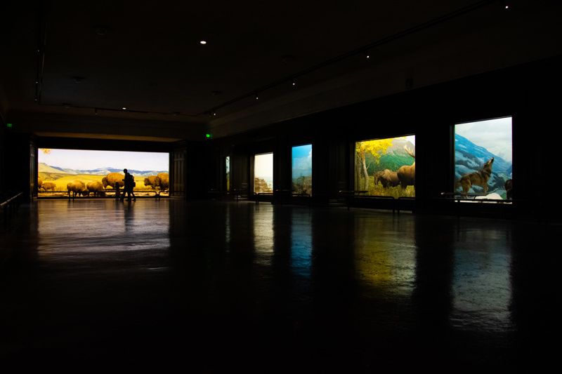 North Museum of Natural History and Science
