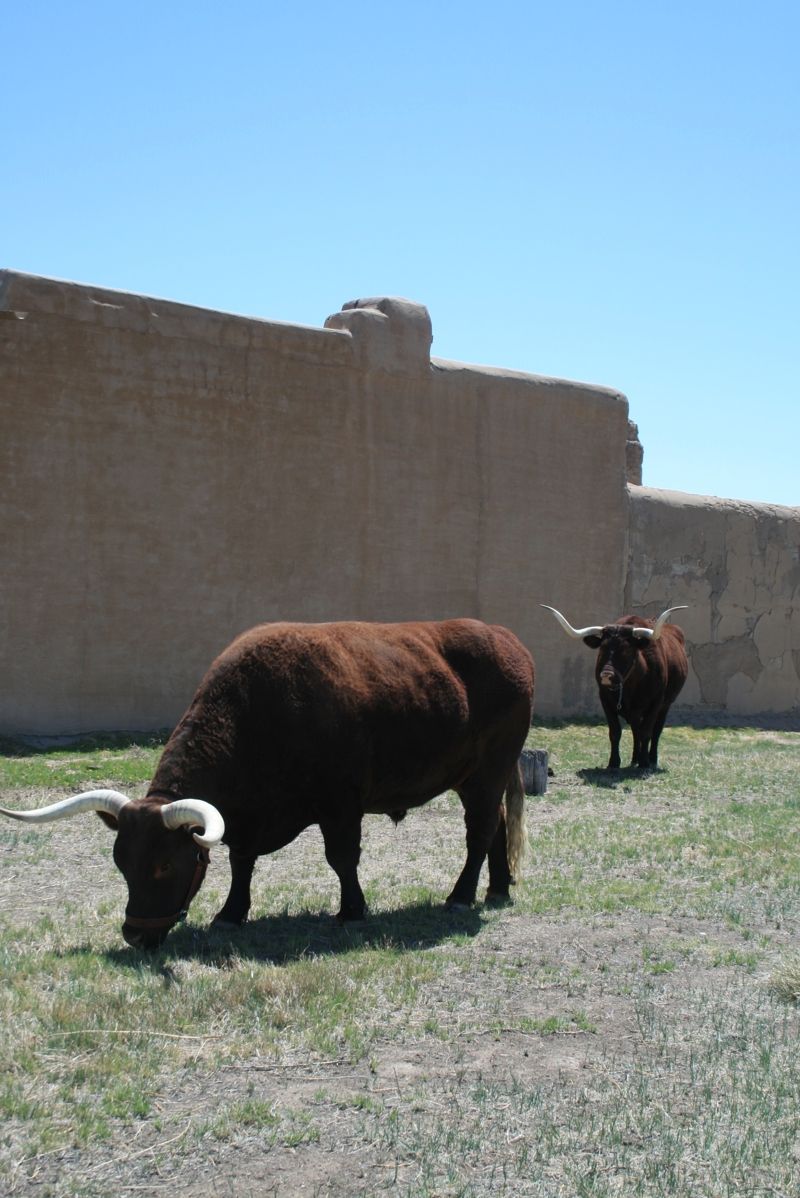 Bent's Old Fort National Historic Site