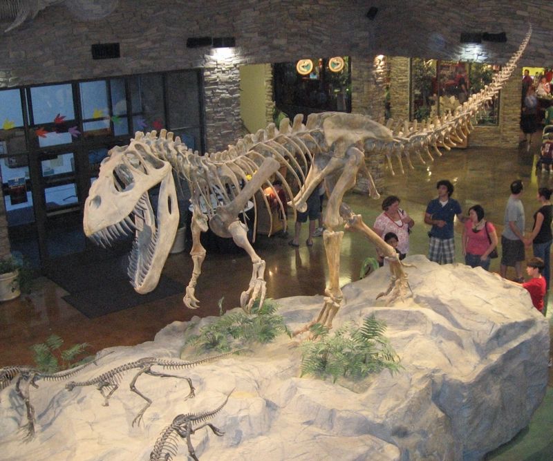 Museum of Ancient Life, Thanksgiving Point