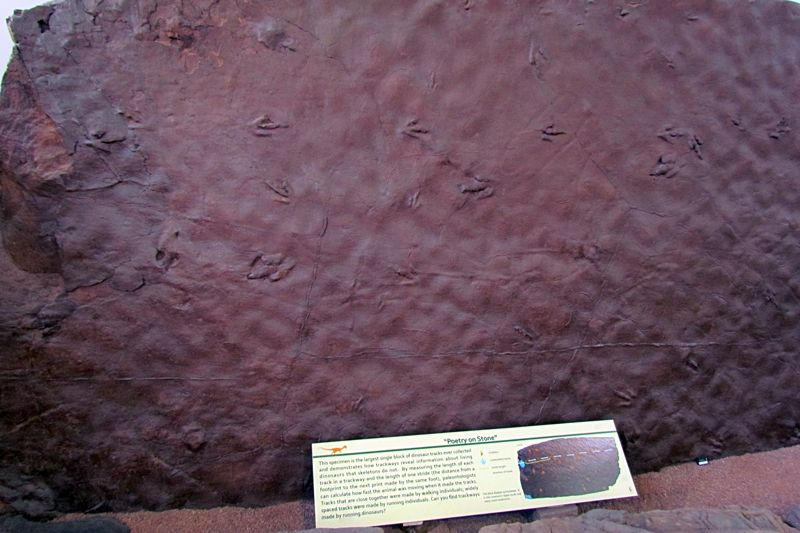 St. George Dinosaur Discovery Site at Johnson Farm