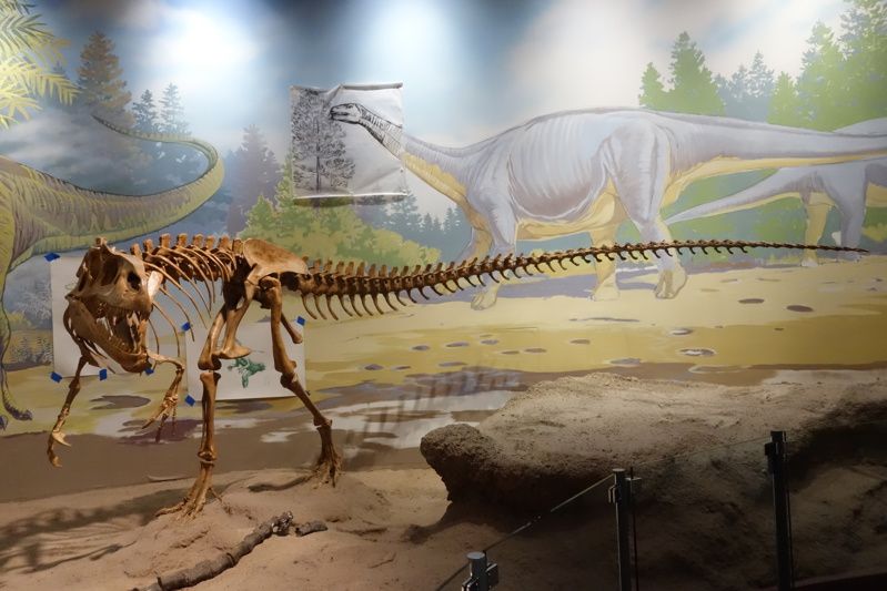 Utah Field House of Natural History State Park Museum