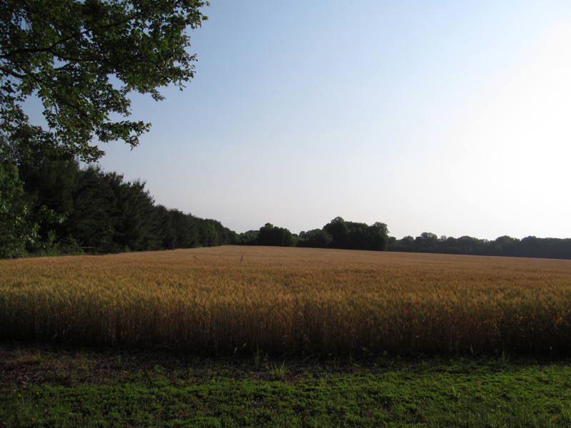 Fredericksburg and Spotsylvania National Military Park
