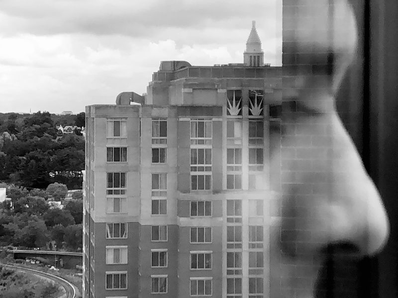George Washington Masonic National Memorial