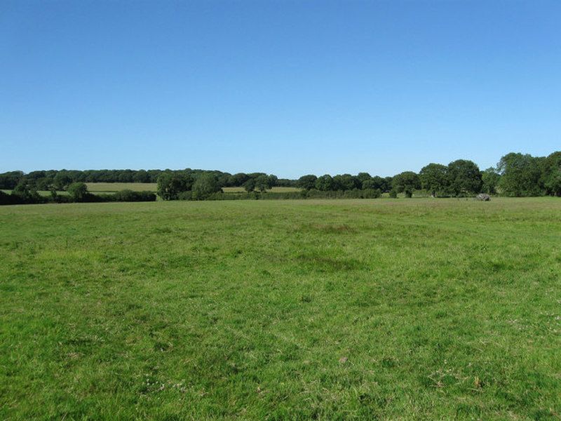 Holland Page Place
