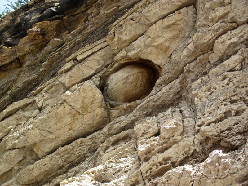 Dinosaur Ridge