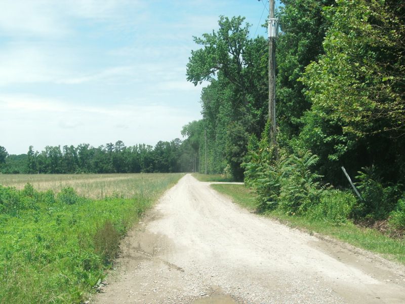 Rosewell Plantation