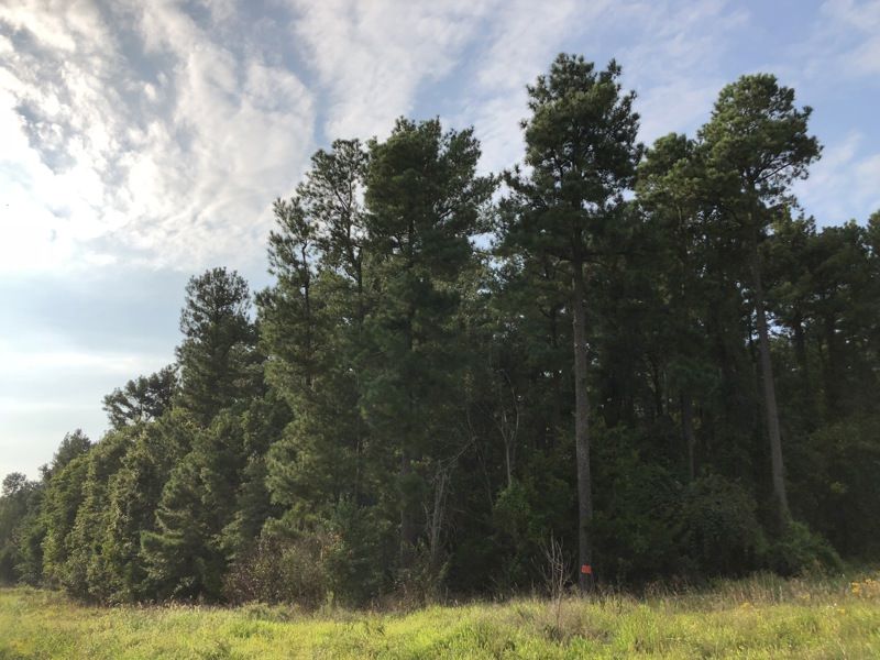 Sully Historic Site