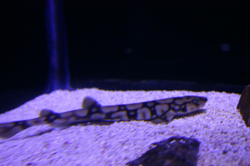Virginia Aquarium & Marine Science Center